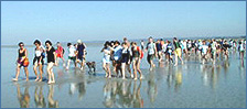 Traversées à pied des grèves vers le Mont St Michel